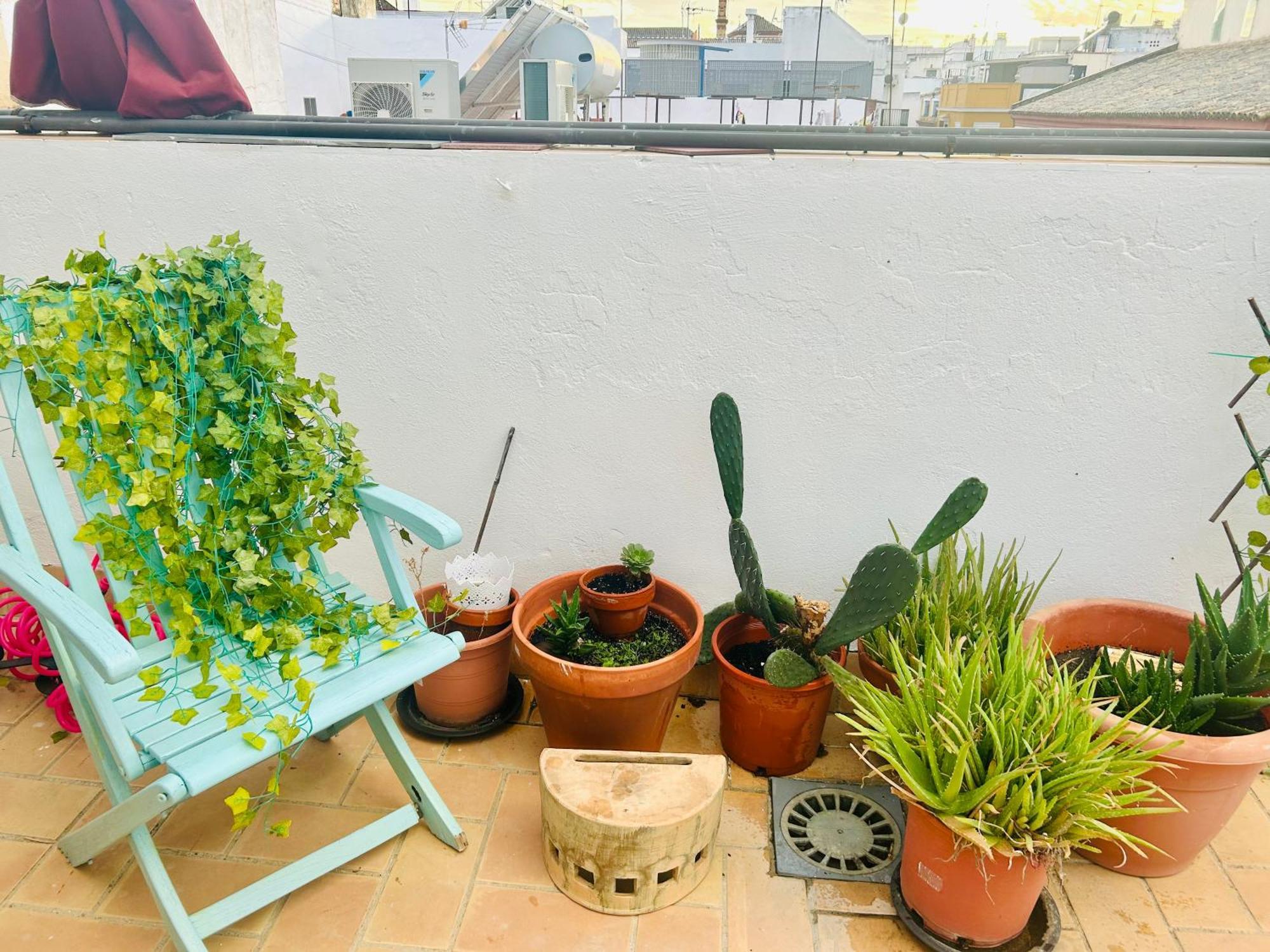 La Azotea Del Sol Apartment Seville Exterior photo